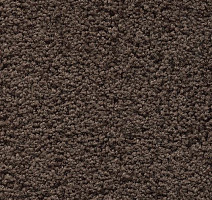 Ковролин AW Devotion 44 фото 1 | FLOORDEALER